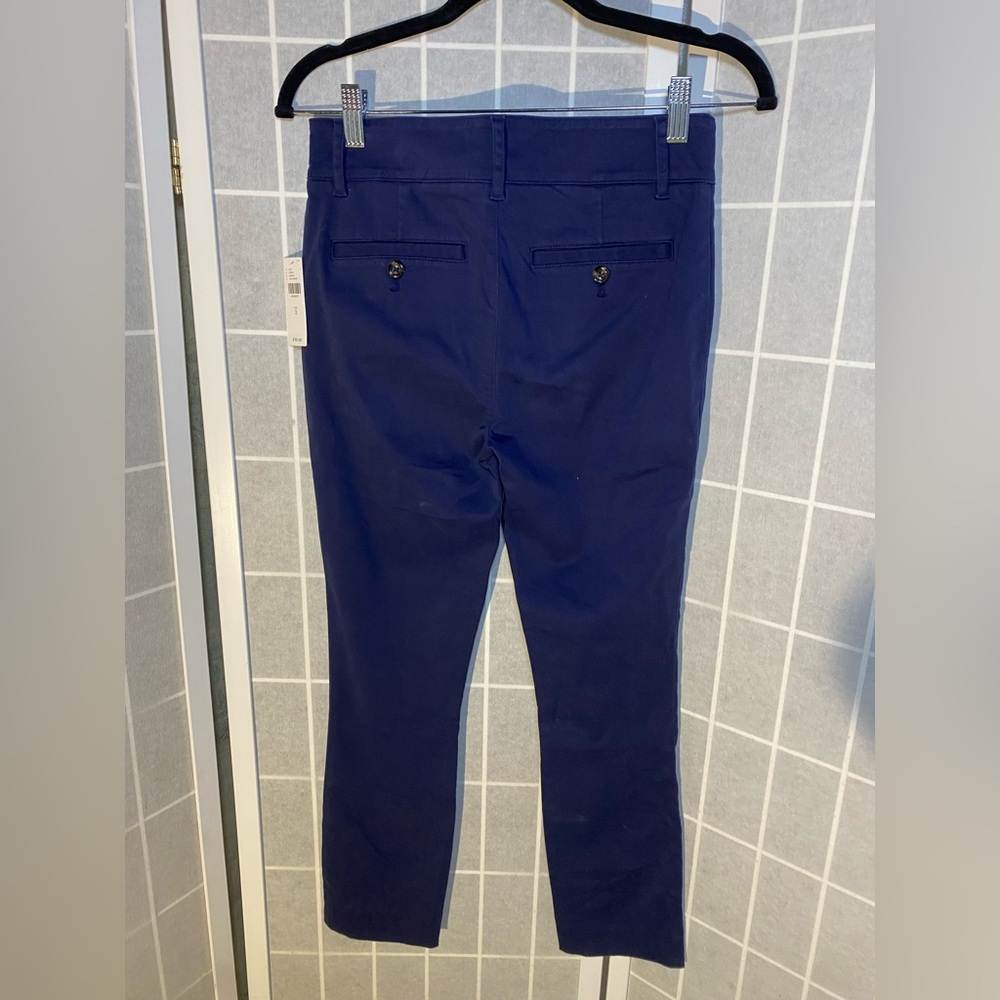Anthropologie Dark Blue Skinny Jeans - Picture 5 of 8